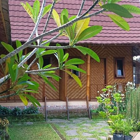 Mysha Guest House-Lombok 特特巴图 外观 照片