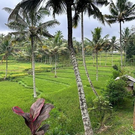 Mysha Guest House-Lombok 特特巴图 外观 照片