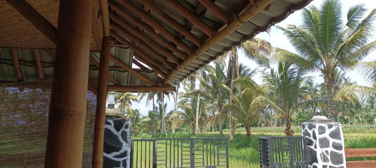 Mysha Guest House-Lombok 特特巴图 外观 照片