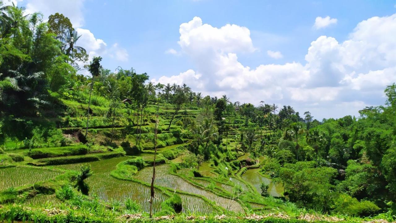 Mysha Guest House-Lombok 特特巴图 外观 照片