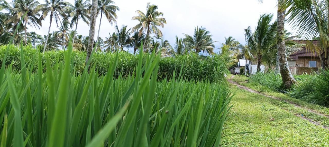 Mysha Guest House-Lombok 特特巴图 外观 照片