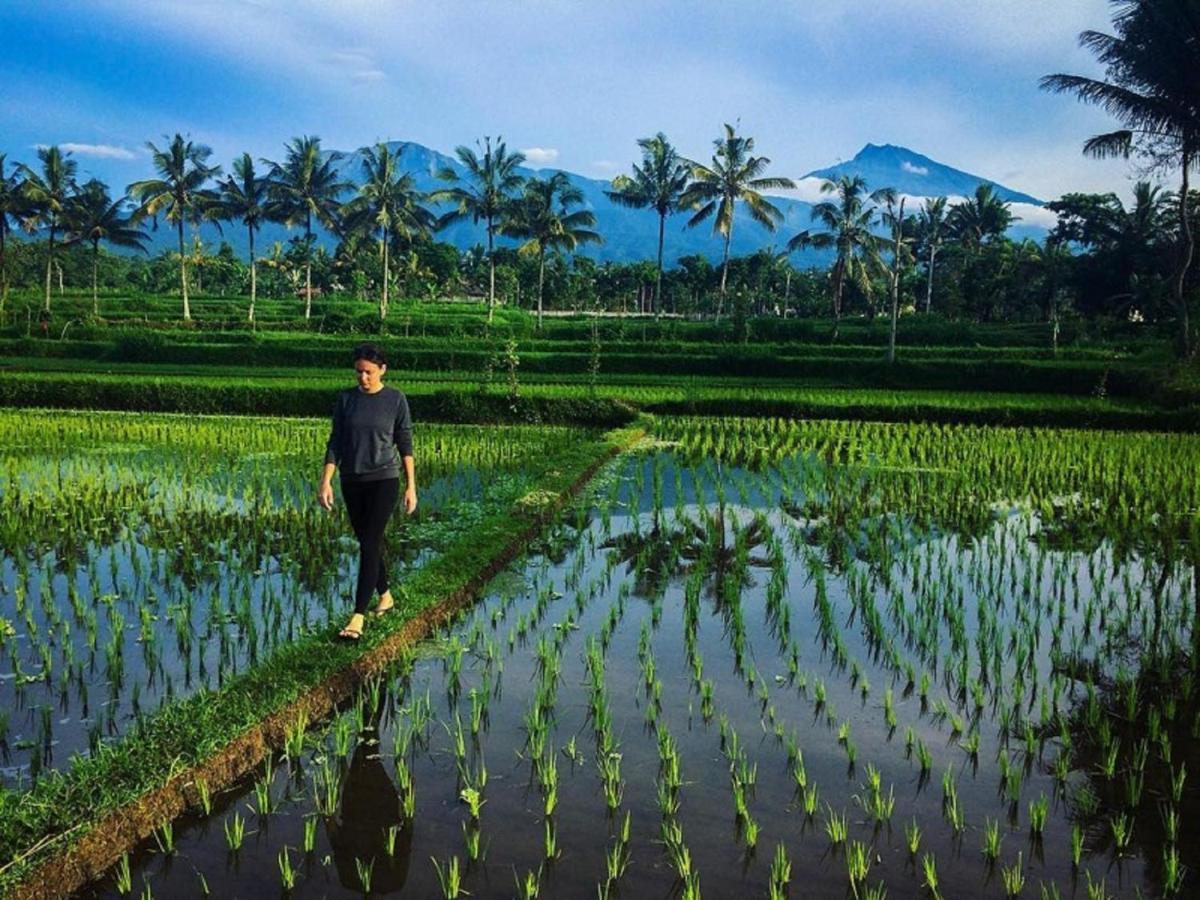 Mysha Guest House-Lombok 特特巴图 外观 照片