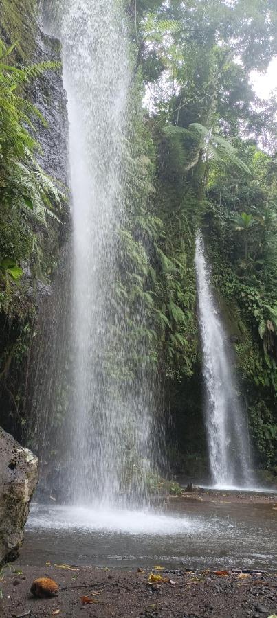 Mysha Guest House-Lombok 特特巴图 外观 照片