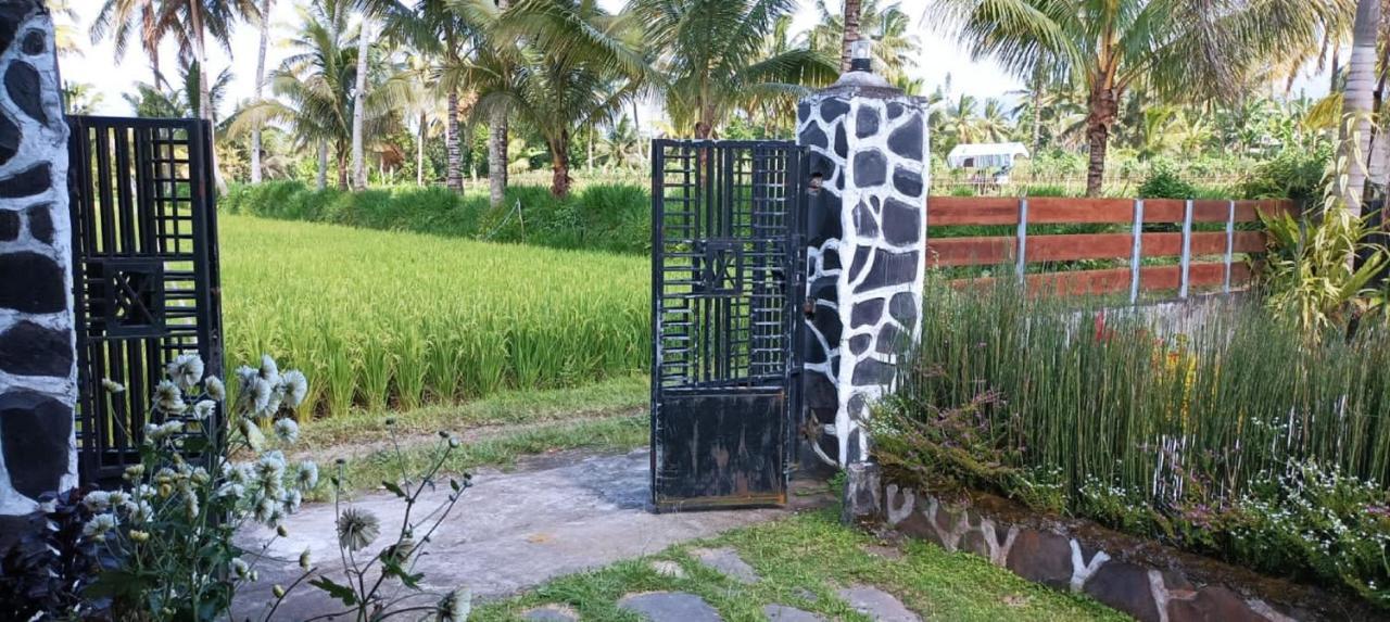 Mysha Guest House-Lombok 特特巴图 外观 照片