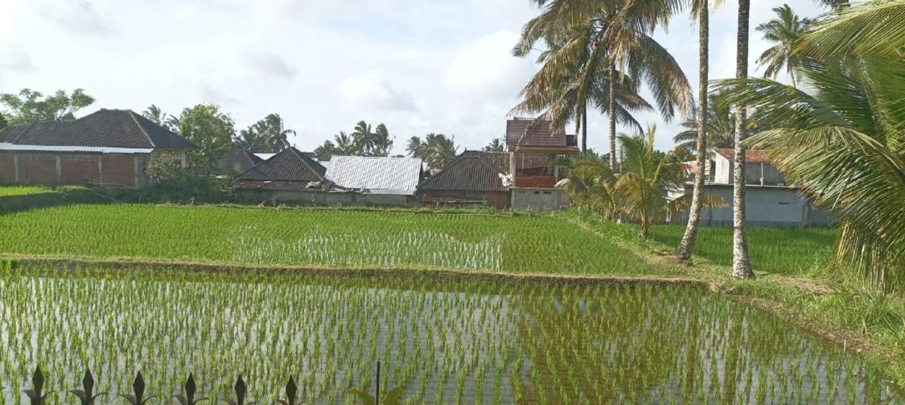 Mysha Guest House-Lombok 特特巴图 外观 照片
