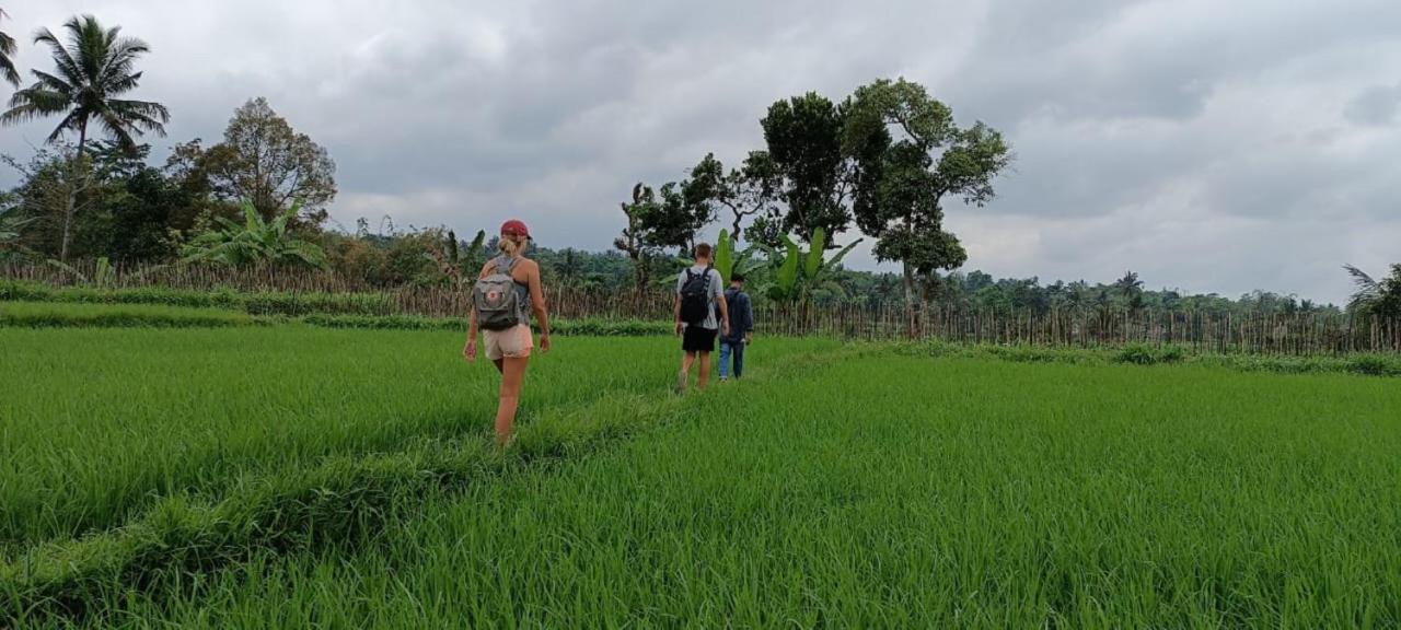 Mysha Guest House-Lombok 特特巴图 外观 照片