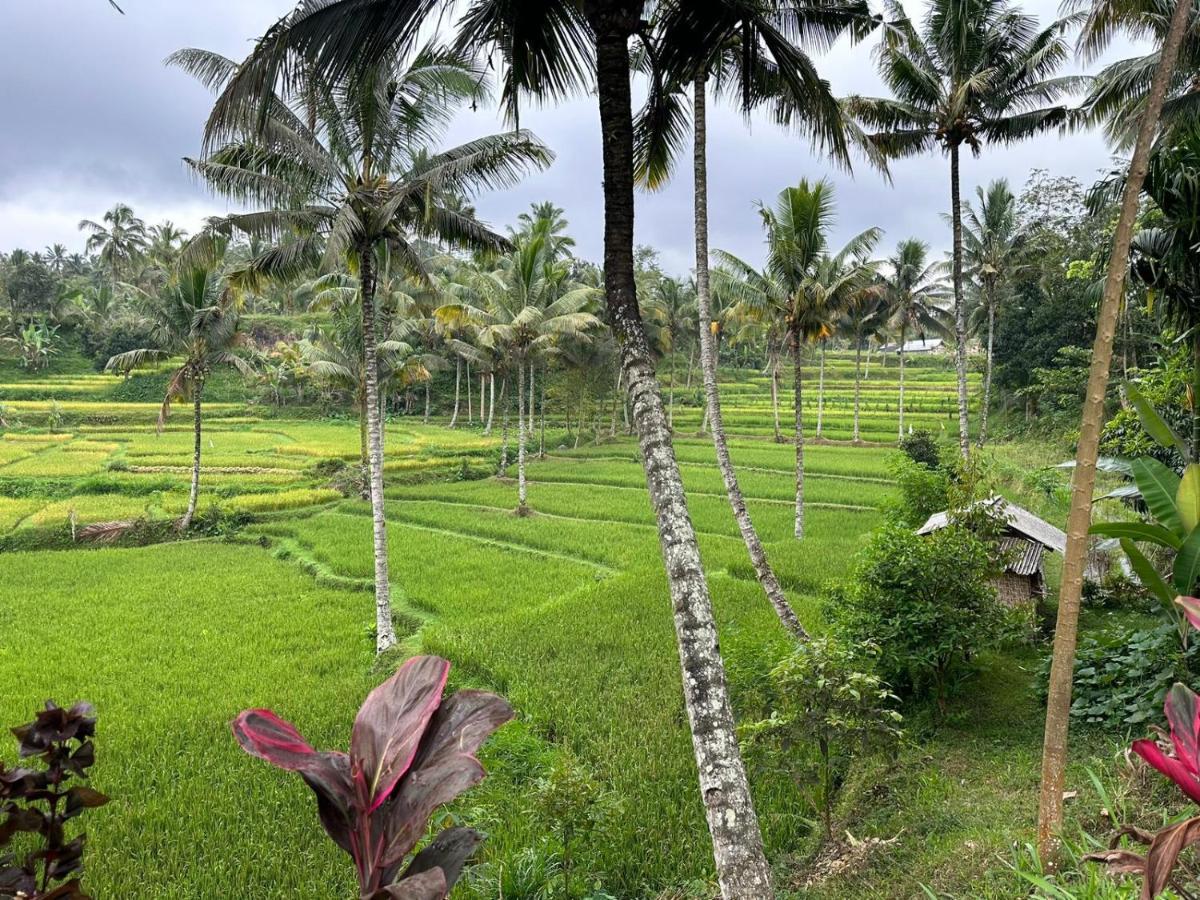 Mysha Guest House-Lombok 特特巴图 外观 照片