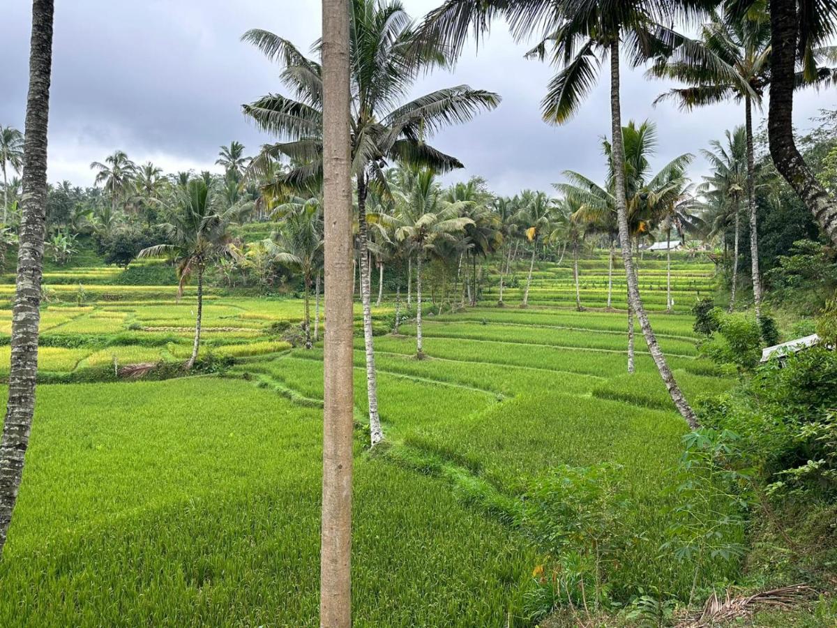 Mysha Guest House-Lombok 特特巴图 外观 照片